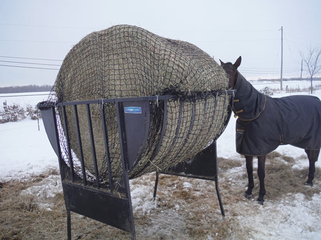 round bale with net in feeder