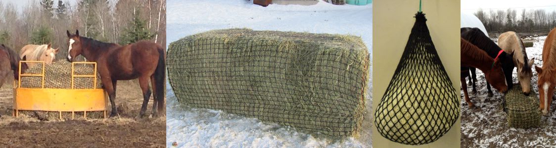  Bloomoak Knotless Slow Feed Hay Net with 2 Carabiner Clips for  Horses/Soft Flat Hanging Hay Bag with Large Capacity for Full Day Feeding  (L 63 * 40, 1.2 Hole for Ultra