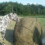 Medium Round Bale Hay Net