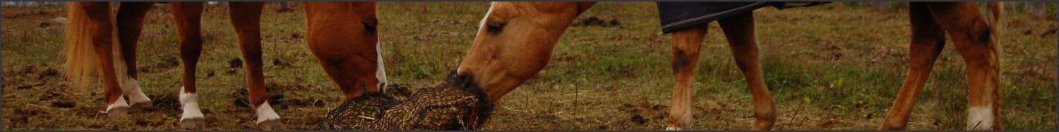 Order Slow Feed Netting online in Canada and the United States